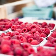 Indústria Alimentar